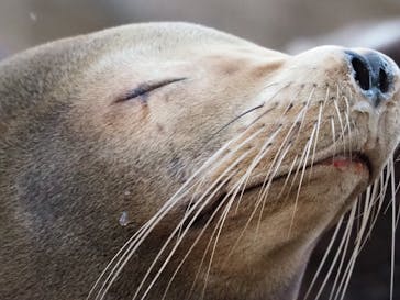 名古屋市東山動植物園に投稿された画像（2023/11/26）