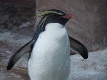 名古屋市東山動植物園に投稿された画像（2023/11/26）