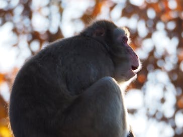 名古屋市東山動植物園に投稿された画像（2023/11/26）