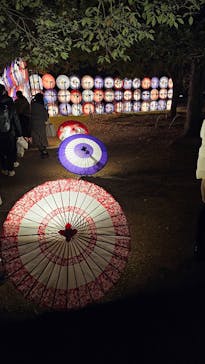 国営昭和記念公園 秋の夜散歩に投稿された画像（2023/11/26）