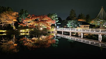 国営昭和記念公園 秋の夜散歩に投稿された画像（2023/11/26）