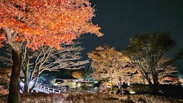 国営昭和記念公園 秋の夜散歩に投稿された画像（2023/11/26）