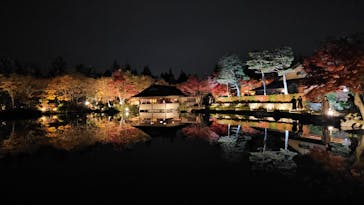 国営昭和記念公園 秋の夜散歩に投稿された画像（2023/11/26）