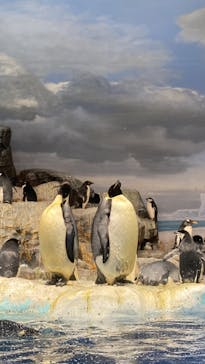 名古屋港水族館に投稿された画像（2023/11/26）