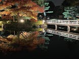 国営昭和記念公園 秋の夜散歩に投稿された画像（2023/11/26）