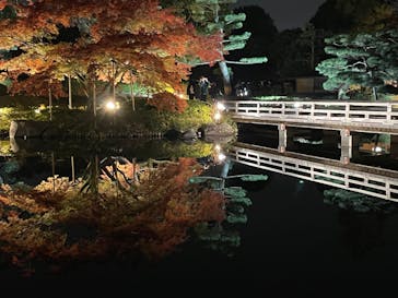 国営昭和記念公園 秋の夜散歩に投稿された画像（2023/11/26）