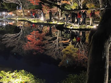 国営昭和記念公園 秋の夜散歩に投稿された画像（2023/11/26）