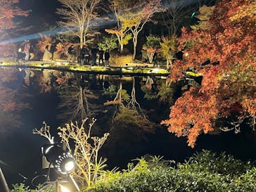 国営昭和記念公園 秋の夜散歩に投稿された画像（2023/11/26）
