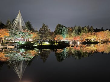 国営昭和記念公園 秋の夜散歩に投稿された画像（2023/11/26）