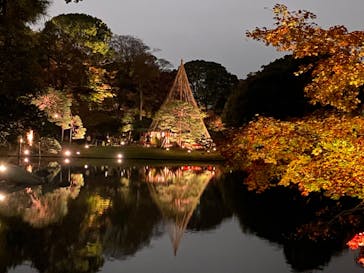 六義園に投稿された画像（2023/11/26）