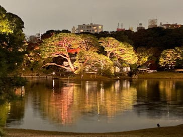 六義園に投稿された画像（2023/11/26）