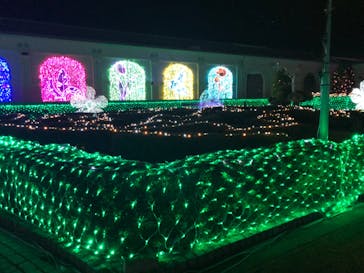 神戸イルミナージュに投稿された画像（2023/11/20）