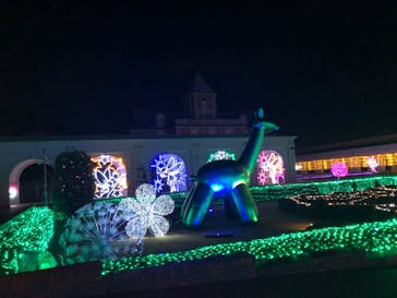 神戸イルミナージュに投稿された画像（2023/11/20）