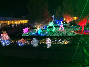 神戸イルミナージュに投稿された画像（2023/11/20）