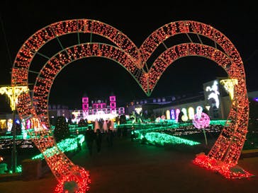 神戸イルミナージュに投稿された画像（2023/11/20）