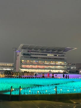 東京メガイルミに投稿された画像（2023/11/26）