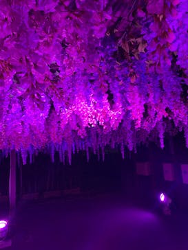 東京メガイルミに投稿された画像（2023/11/26）