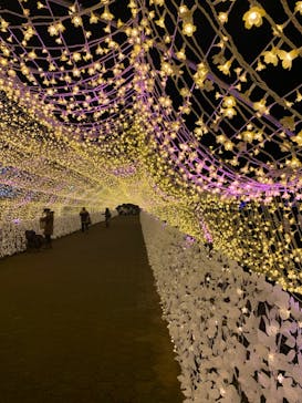 東京メガイルミに投稿された画像（2023/11/26）