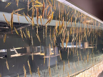 AOAO SAPPOROに投稿された画像（2023/11/26）