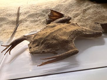 AOAO SAPPOROに投稿された画像（2023/11/26）