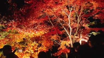 名古屋市東山動植物園に投稿された画像（2023/11/26）