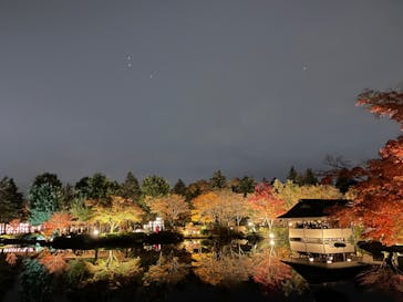 国営昭和記念公園 秋の夜散歩に投稿された画像（2023/11/26）