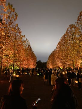 NAKED 紅葉の新宿御苑2023に投稿された画像（2023/11/26）