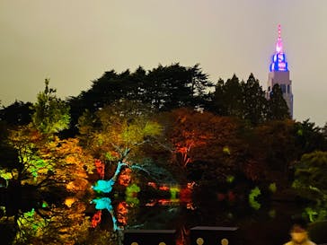 NAKED 紅葉の新宿御苑2023に投稿された画像（2023/11/26）