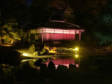 NAKED meets 二条城 2025 観月に投稿された画像（2023/11/26）