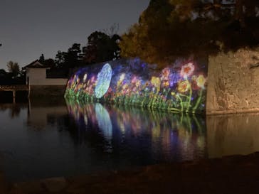 NAKED meets 二条城 2025 観月に投稿された画像（2023/11/26）