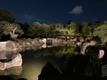 NAKED meets 二条城 2025 観月に投稿された画像（2023/11/26）