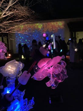 NAKED meets 二条城 2025 観月に投稿された画像（2023/11/26）