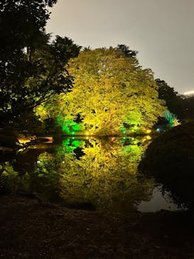 NAKED 紅葉の新宿御苑2023に投稿された画像（2023/11/26）