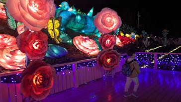 伊豆ぐらんぱる公園に投稿された画像（2023/11/26）