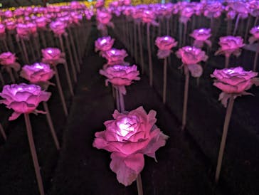 東京メガイルミに投稿された画像（2023/11/26）