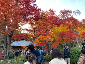 国営昭和記念公園 秋の夜散歩に投稿された画像（2023/11/26）