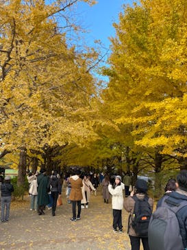 国営昭和記念公園 秋の夜散歩に投稿された画像（2023/11/26）