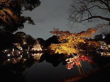 六義園に投稿された画像（2023/11/26）