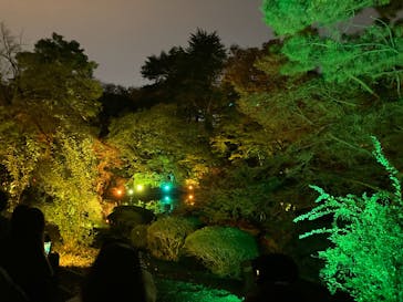 NAKED 紅葉の新宿御苑2023に投稿された画像（2023/11/26）