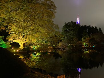 NAKED 紅葉の新宿御苑2023に投稿された画像（2023/11/26）