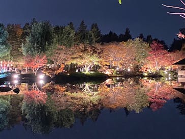 国営昭和記念公園 秋の夜散歩に投稿された画像（2023/11/26）