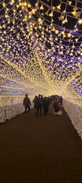 東京メガイルミに投稿された画像（2023/11/26）