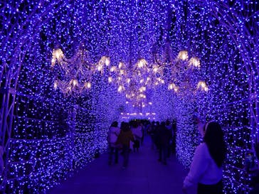 江の島シーキャンドルに投稿された画像（2023/11/26）