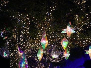 江の島シーキャンドルに投稿された画像（2023/11/26）