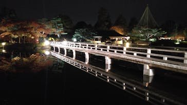 国営昭和記念公園 秋の夜散歩に投稿された画像（2023/11/26）