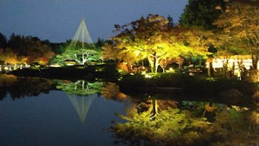 国営昭和記念公園 秋の夜散歩に投稿された画像（2023/11/26）