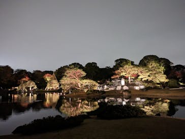 六義園に投稿された画像（2023/11/26）