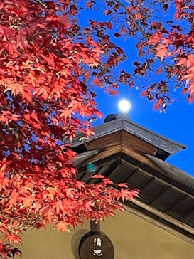 国営昭和記念公園 秋の夜散歩に投稿された画像（2023/11/26）