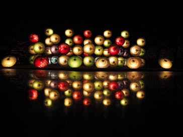 国営昭和記念公園 秋の夜散歩に投稿された画像（2023/11/26）