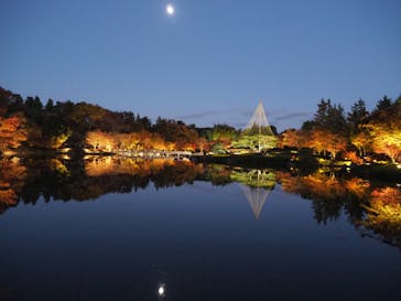 国営昭和記念公園 秋の夜散歩に投稿された画像（2023/11/26）